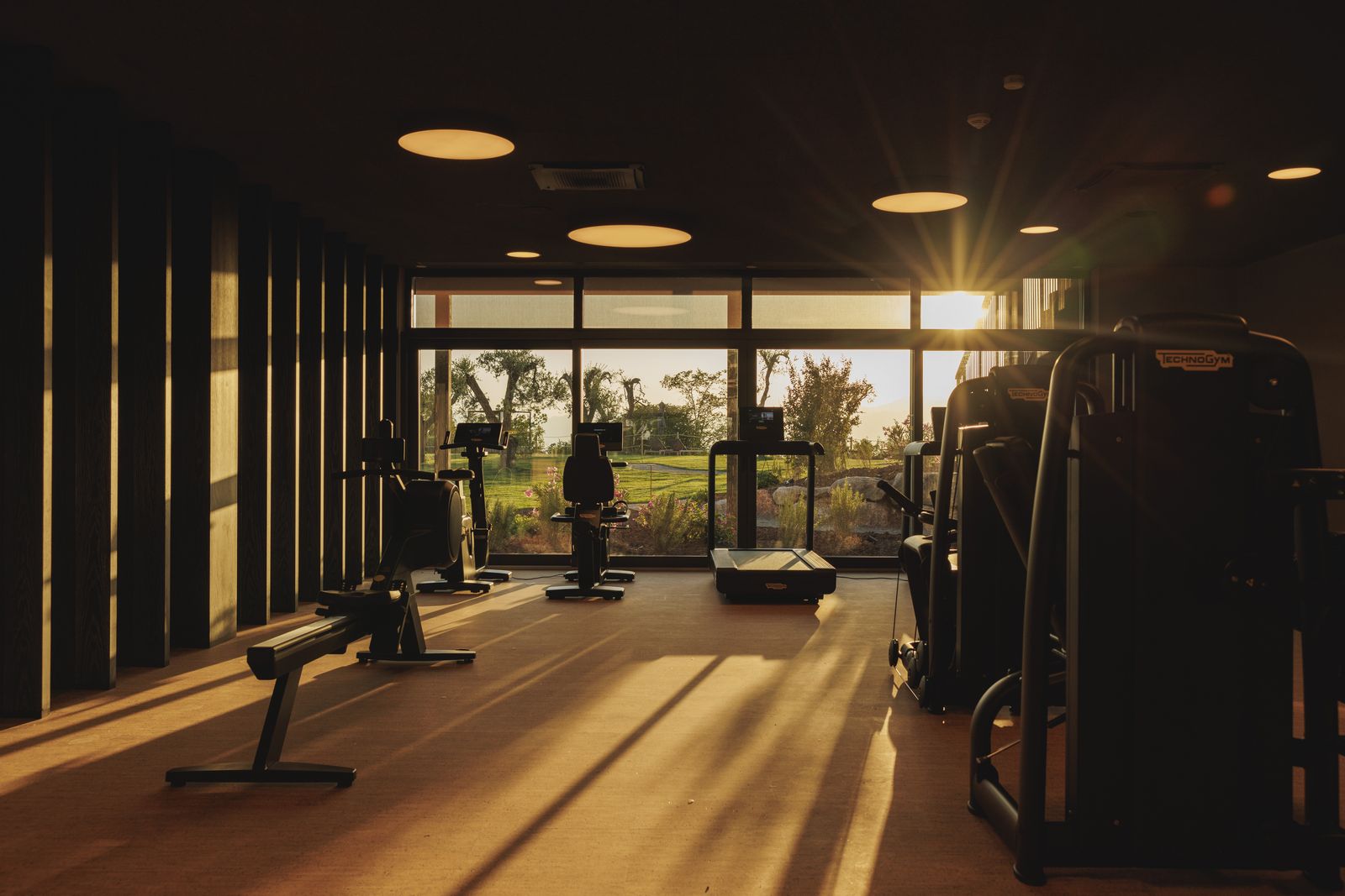 16 Gym 93A8259
