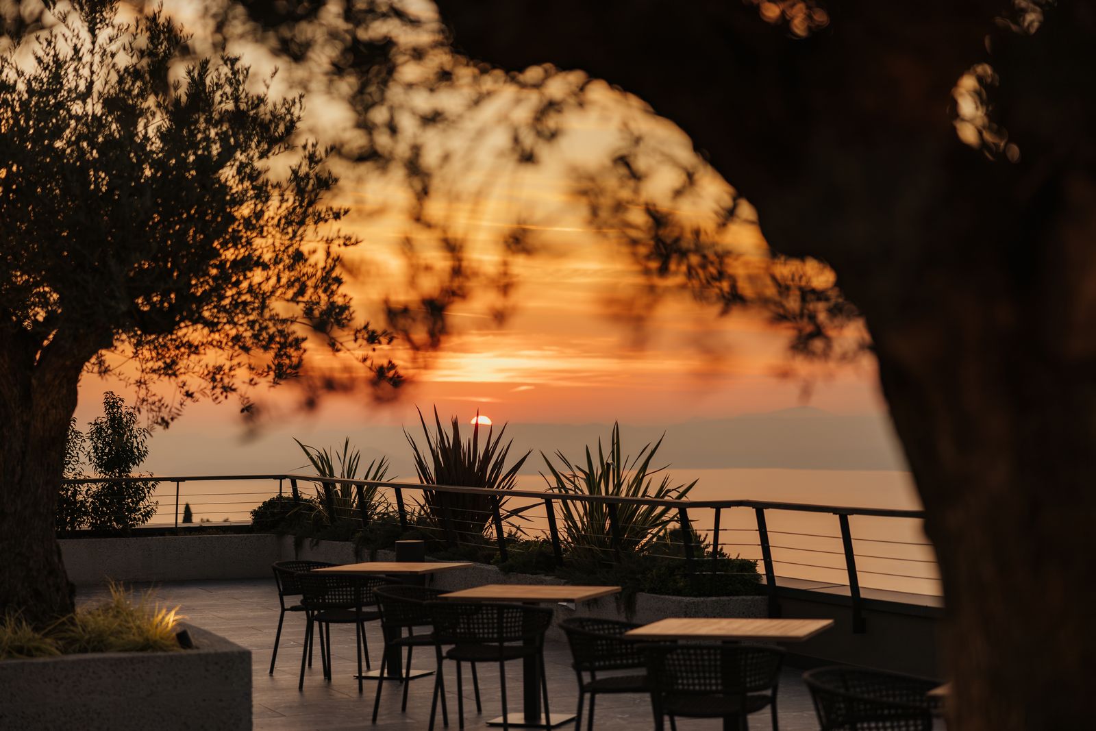 24 Restaurant AlexMoling CapeOfSenses-351