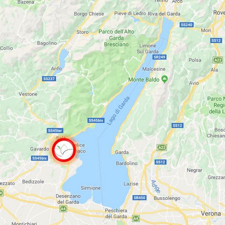 mappa hotel San Felice del Benaco