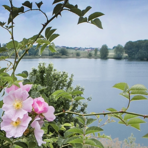 Day SPA Le Ali del Frassino Peschiera del Garda